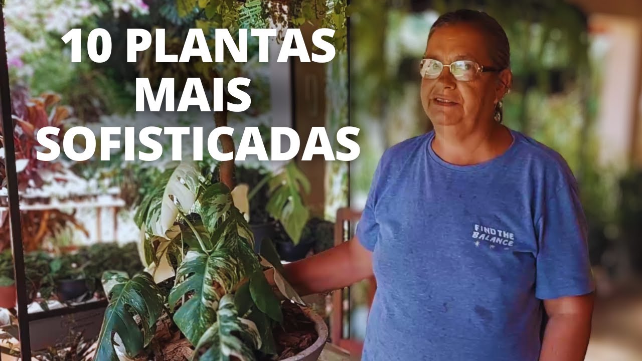 As 10 Plantas mais sofisticadas da minha varanda