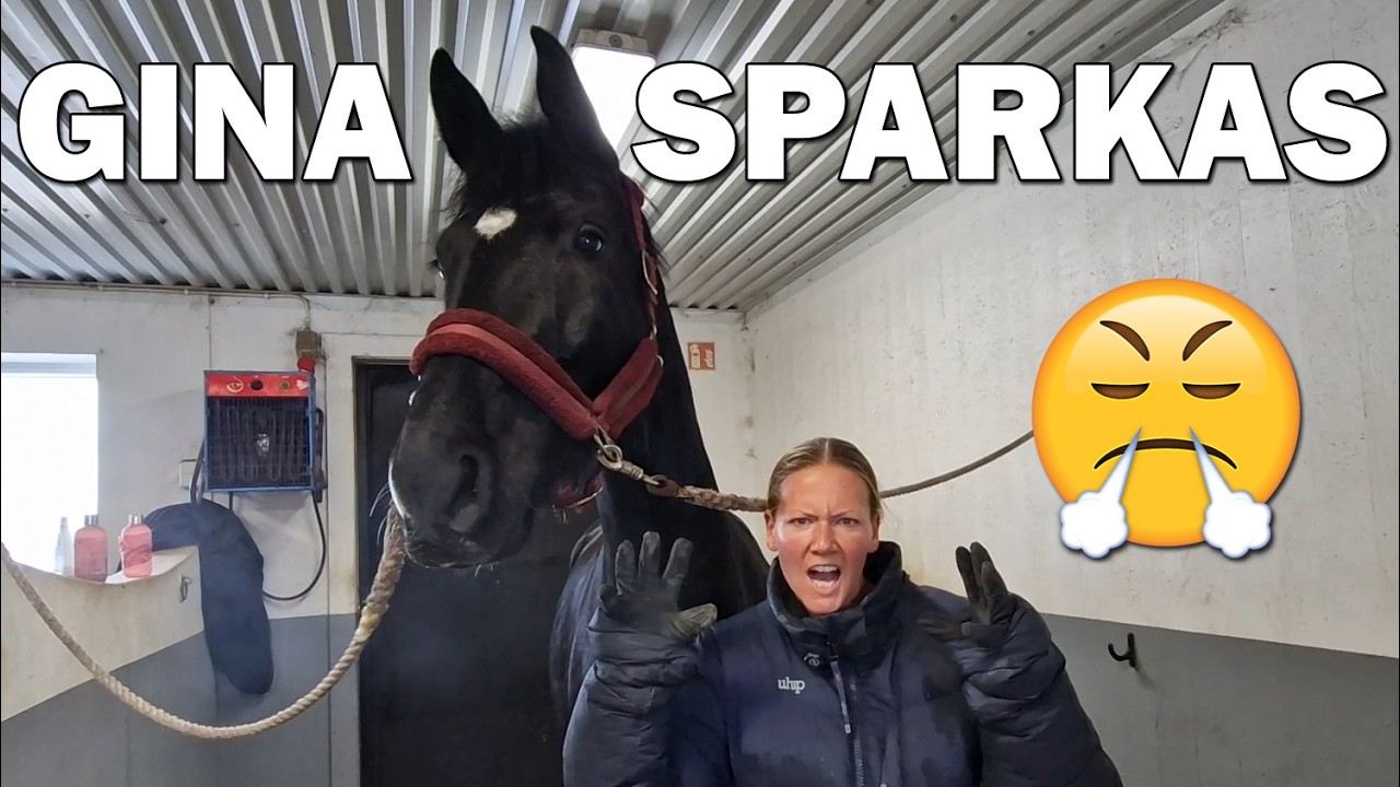 Emma är TILLBAKA - Stallvlogg