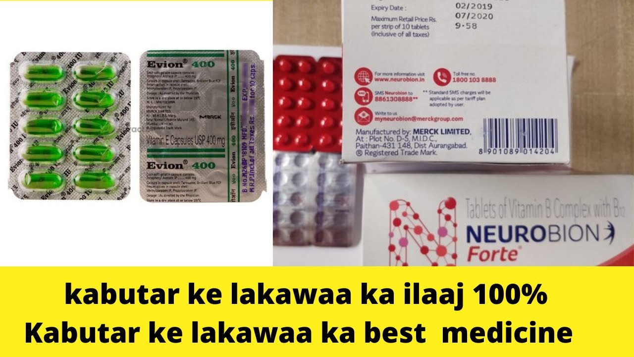 lakawa wali kabutar ko set kiya | Kabutar ki TEDI Gardan thik karne ka best medicine |Best medicine