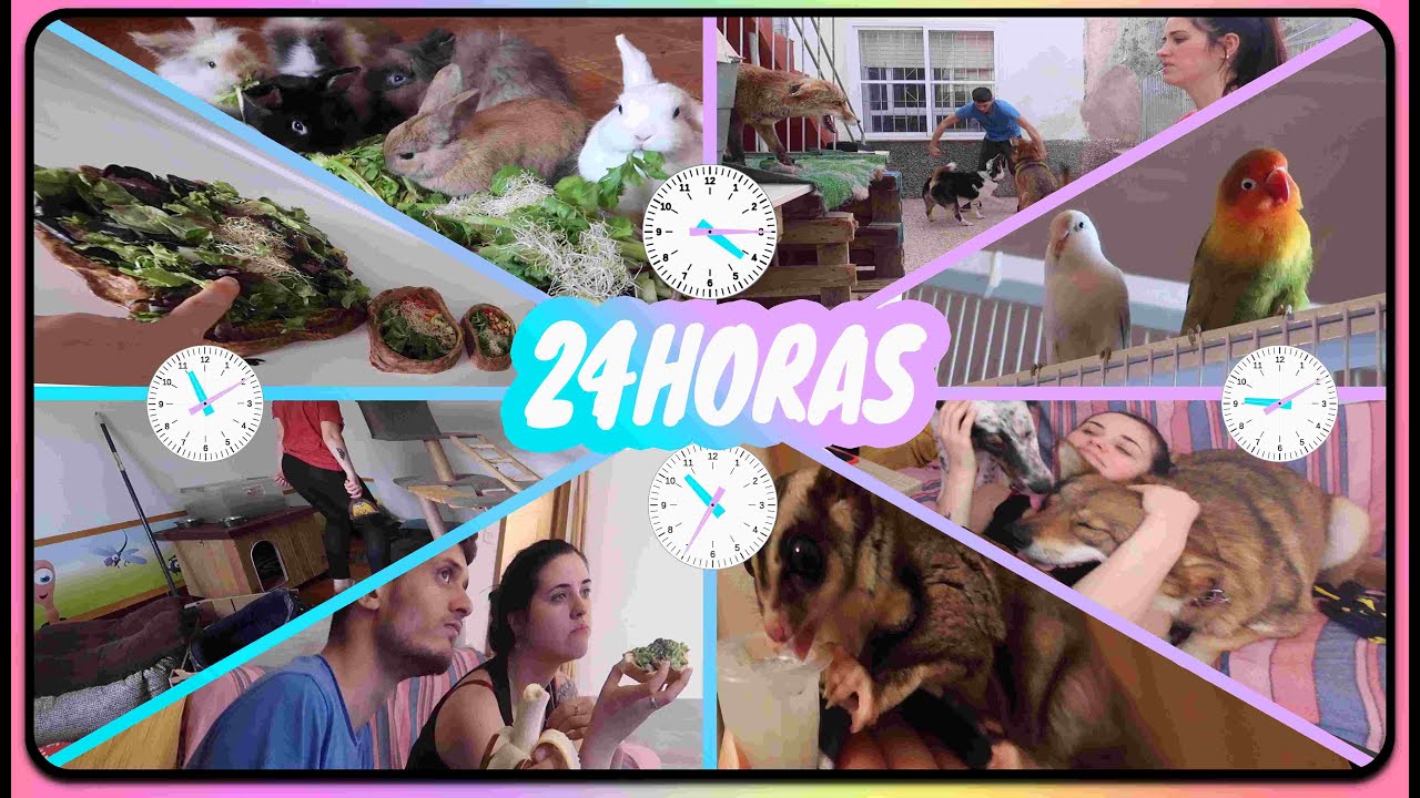 24 HORAS - Un Dia Cualquiera en Nuestra VIDA