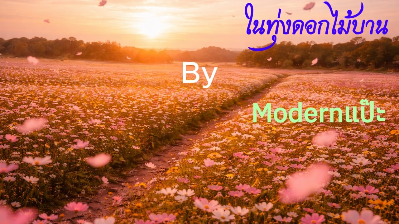 ในทุ่งดอกไม้บาน - Modernแป๊ะ