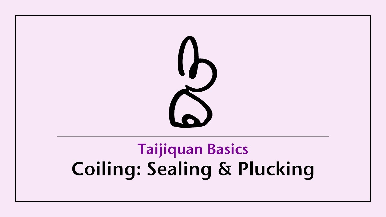 Taijiquan Basics | Coiling with Sealing & Plucking