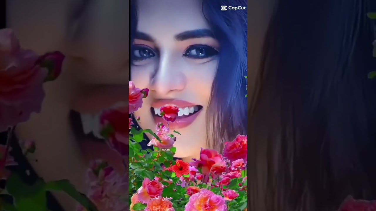 جيت السليل وقلبي شاقه الوادي ديرة هلي والحبيب ساكنن فيها ❤️مساء الحب ❤️ياويل قلبك يامحمدالموت الحمر