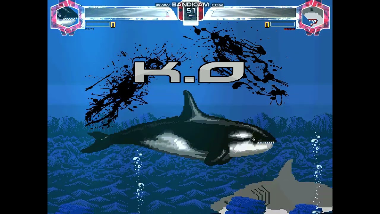 Killer Whale vs Great White Shark