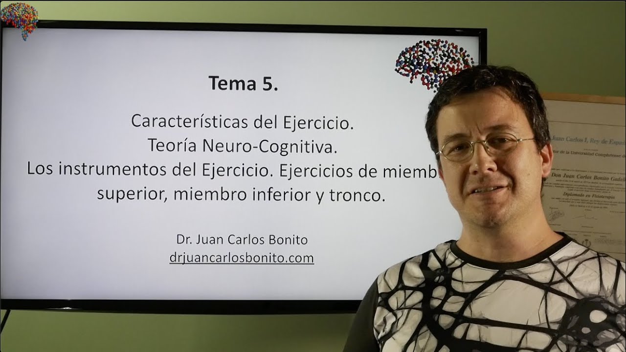EJERCICIO TERAP&Eacute;UTICO COGNOSCITIVO. M&Eacute;TODO PERFETTI