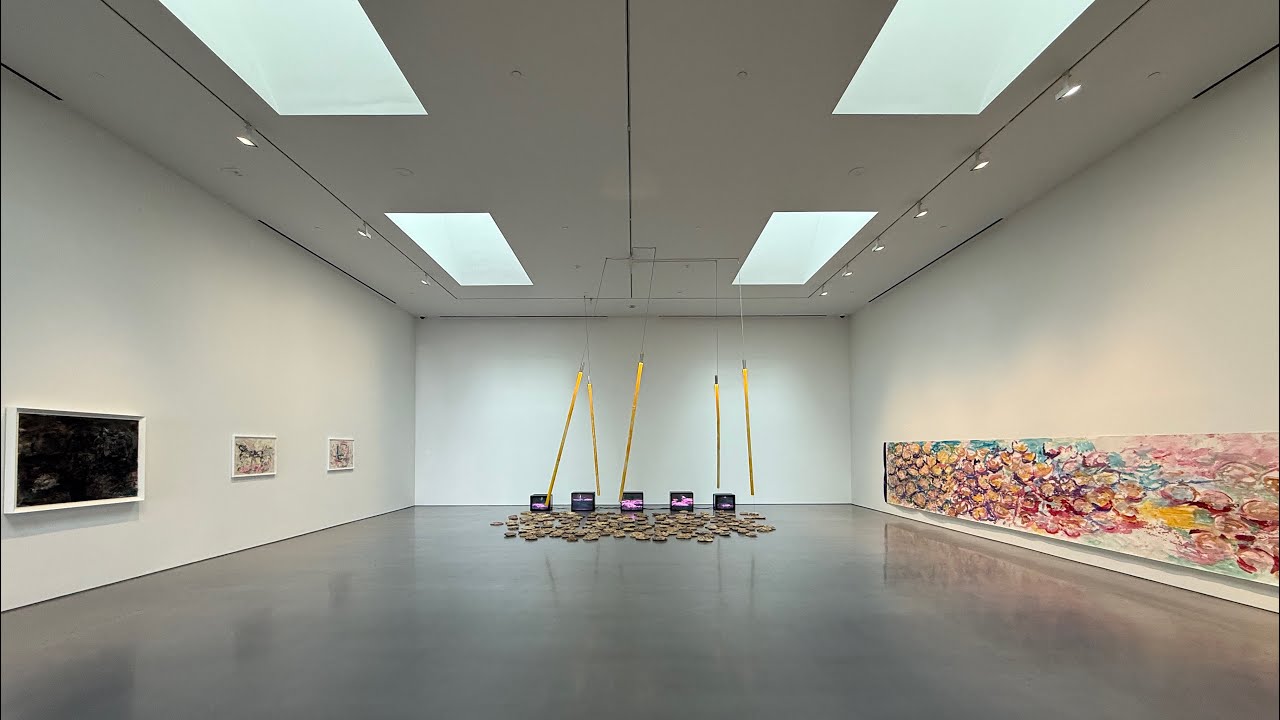 Carolee Schneemann &bull; Lisson Gallery