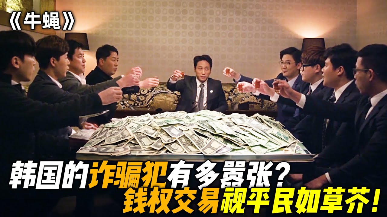 韩国的诈骗犯到底有多嚣张？涉案金额高达数十亿，警察都被耍的团团转！一口气看完《牛蝇》