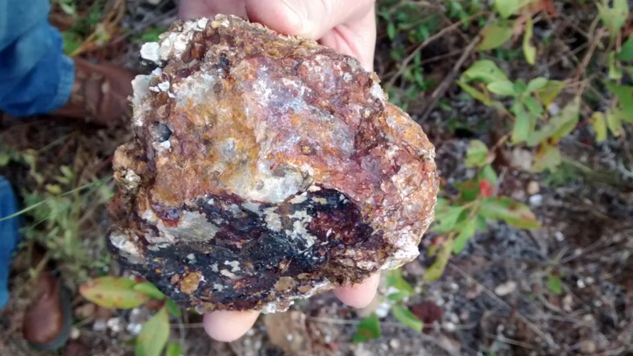Alabama Billion Dollar Gold Discovery