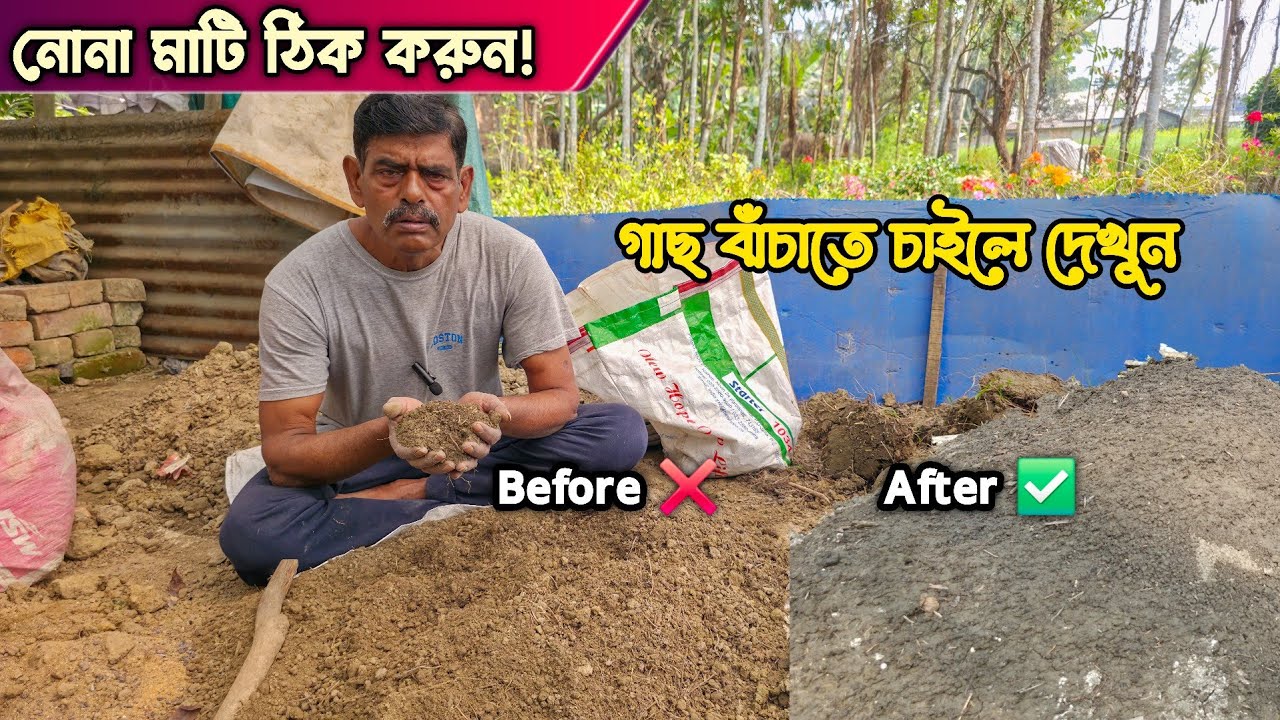 নোনা মাটিকে কিভাবে গাছের উপযুক্ত করবেন