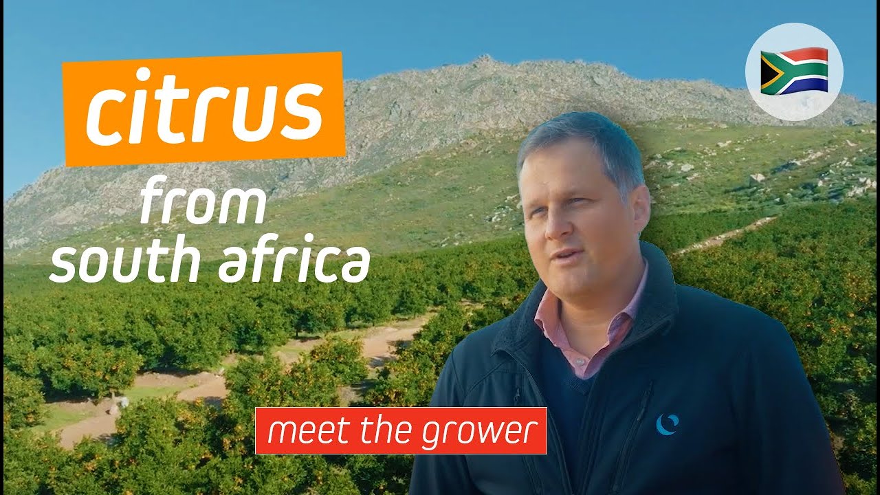 Meet the grower in South Africa | Citrus - EXSA Europe