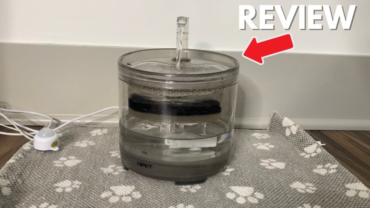 Cats Love This! NPET Cat Water Fountain - Quick Review