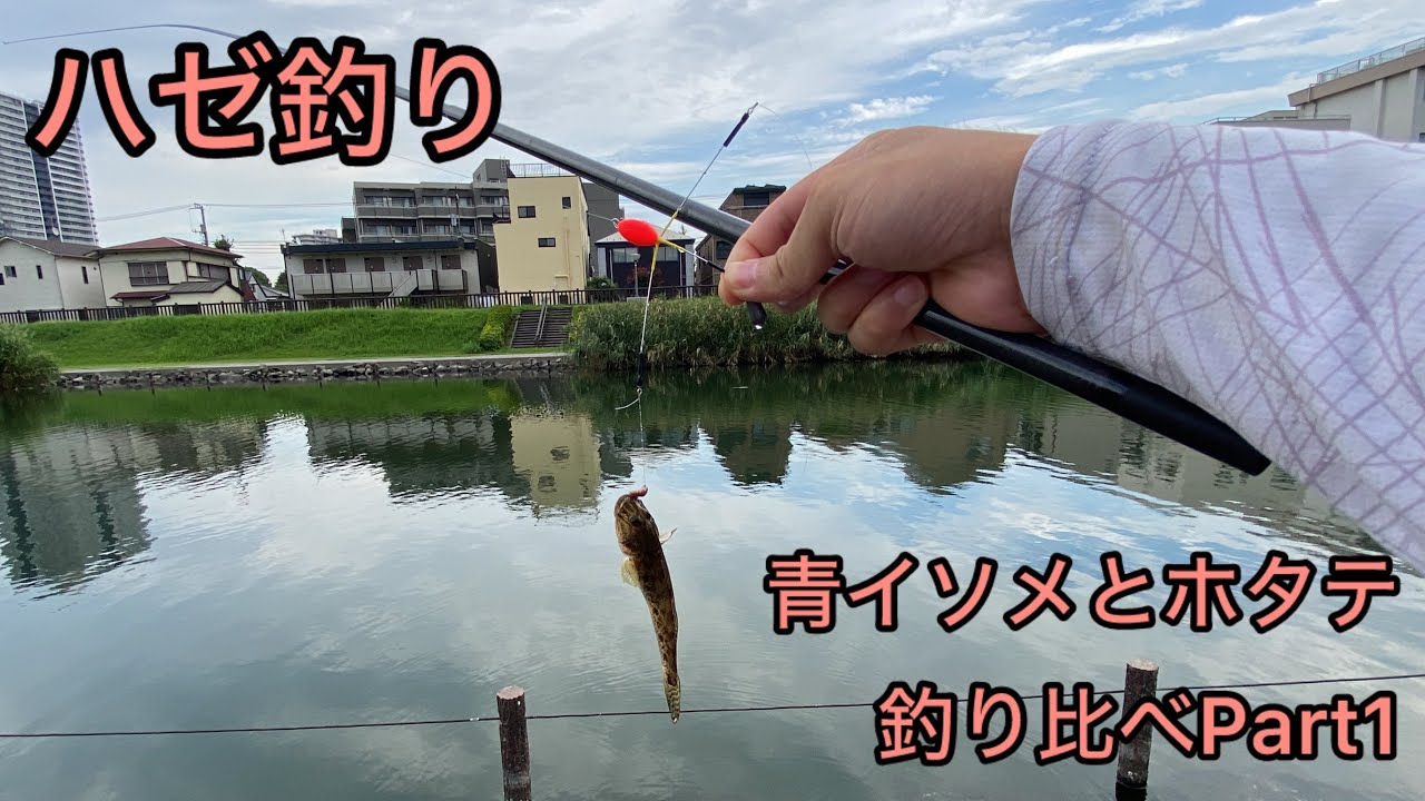 ハゼ釣り 青イソメとホタテで釣り比べPart1（2024年9月19日）