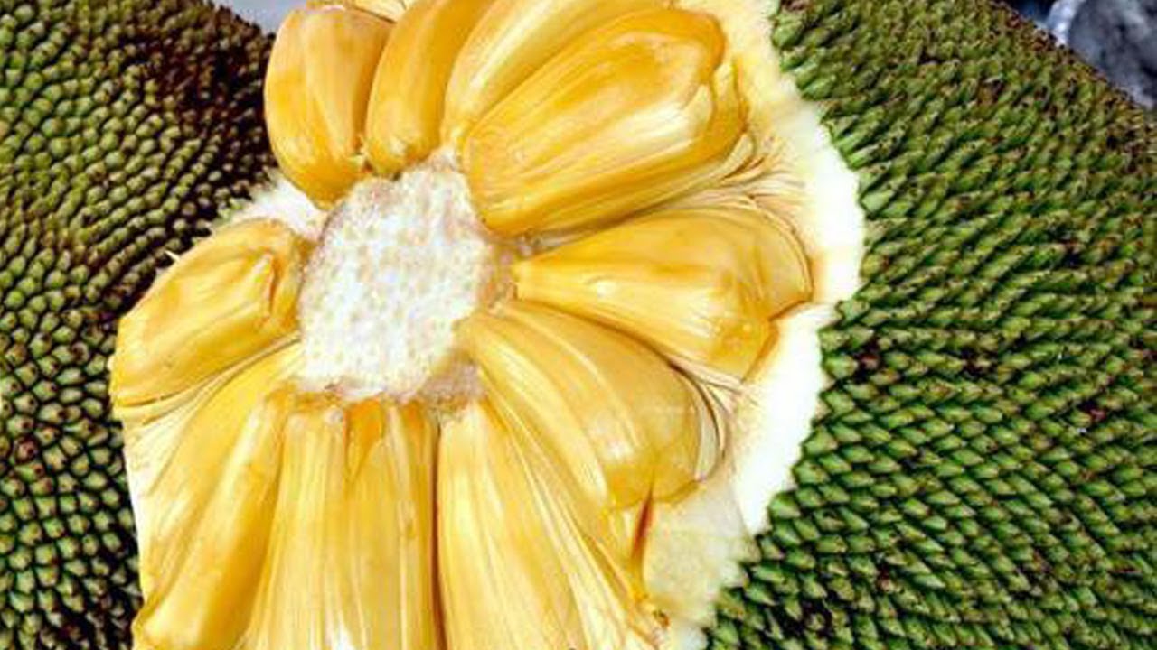 11 Benefits of cempedak fruit for health