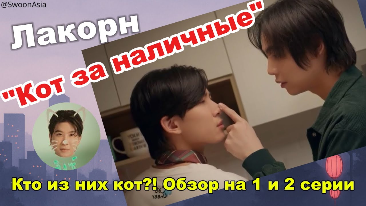 Кто из них кот?! 🐾 | Cat for cash — самый нежный флирт, что я видела! Кхао и Фёст
