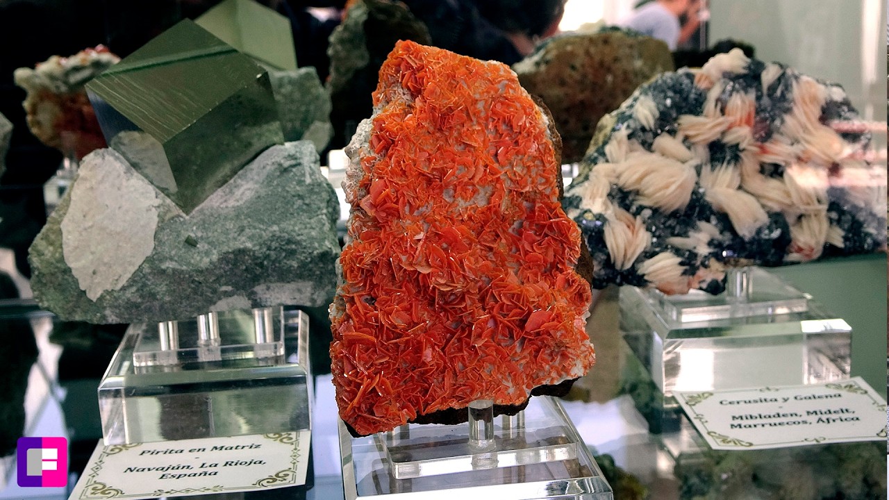 Feria de Minerales Córdoba 2025: 3 Días de Minerales, Gemas y Coleccionistas