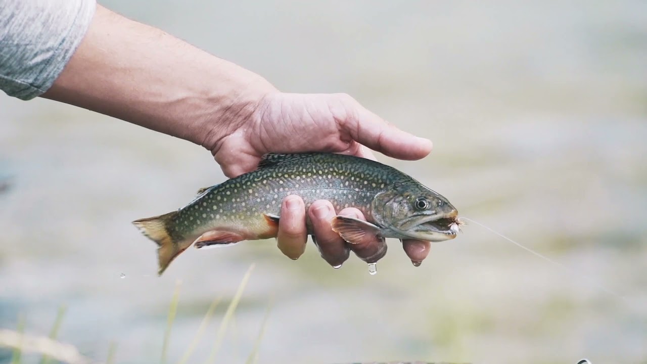 Fly Fishing Val di Fumo