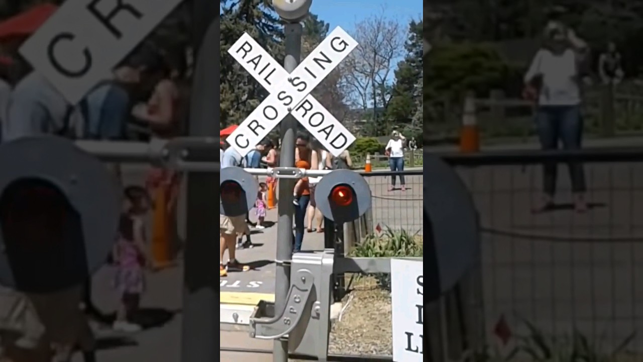 Denver Zoo railway crossing