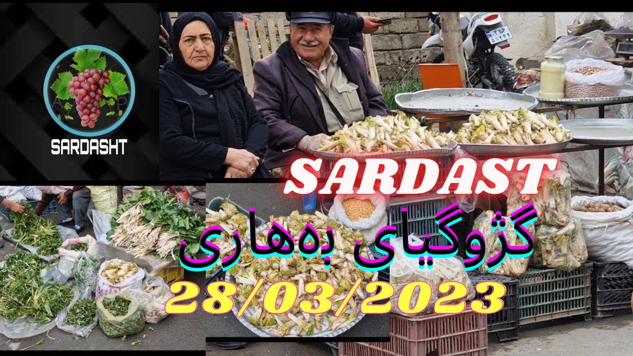 SARDAST U SROSHT  شاری سەردەشت/گژوگیای بەھاری٠٨/٠١/١٤٠٢@sardesht68