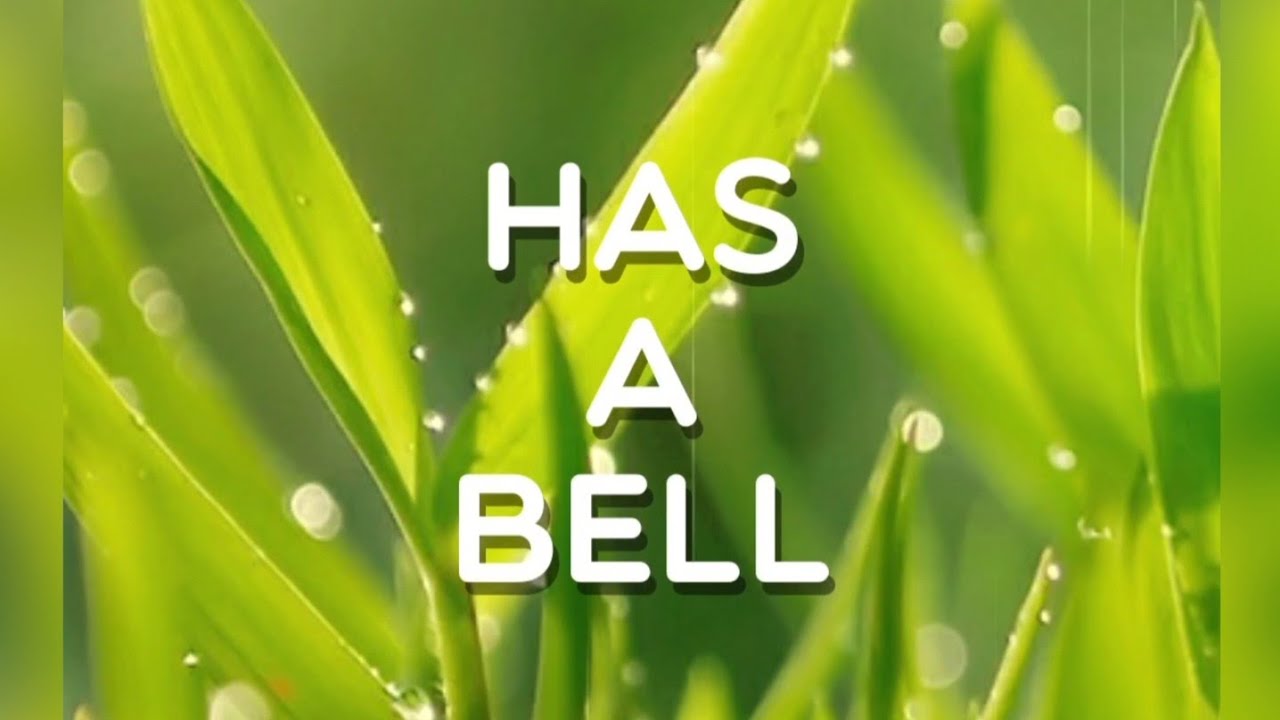 Has a bell, Level 156, Word Crush Answers, 4k 60fps.