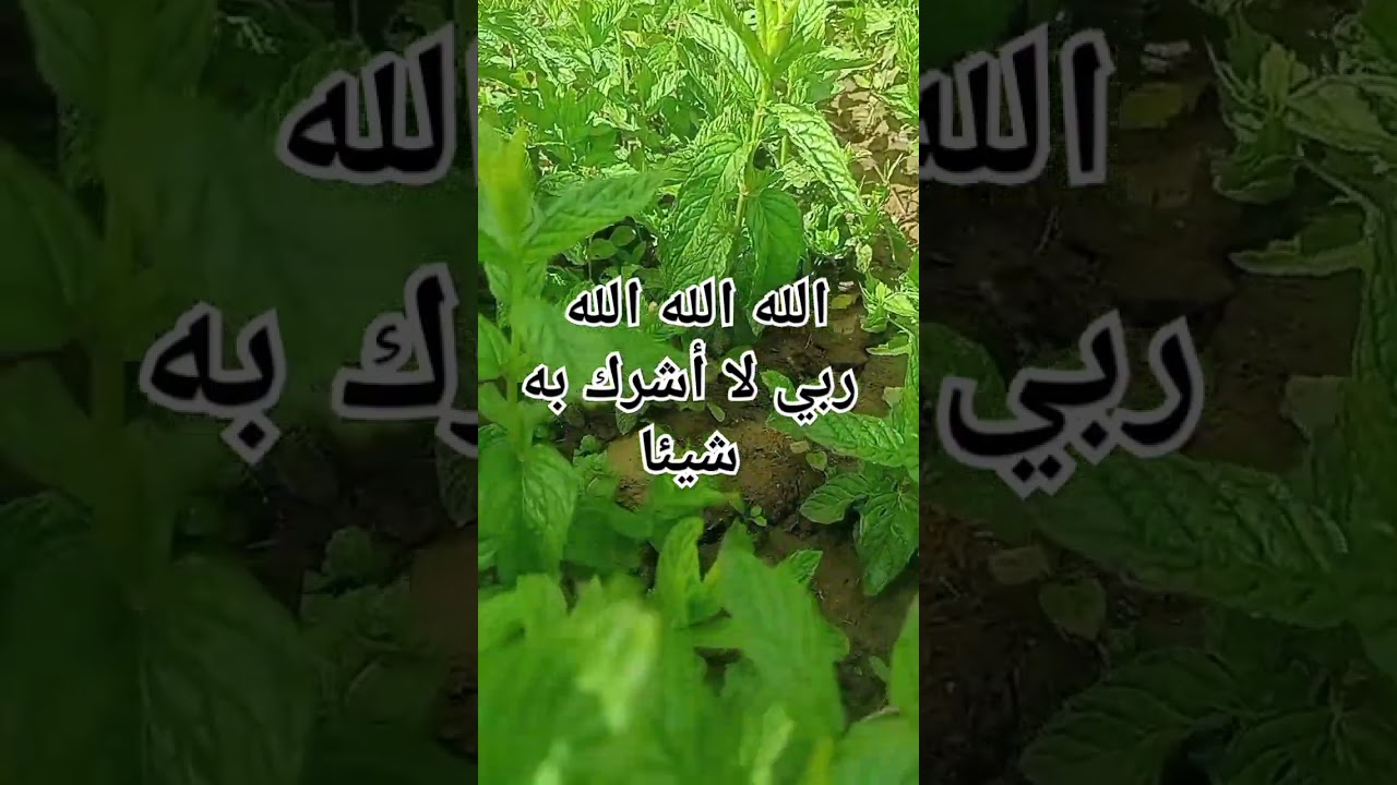 # دعاء الكرب