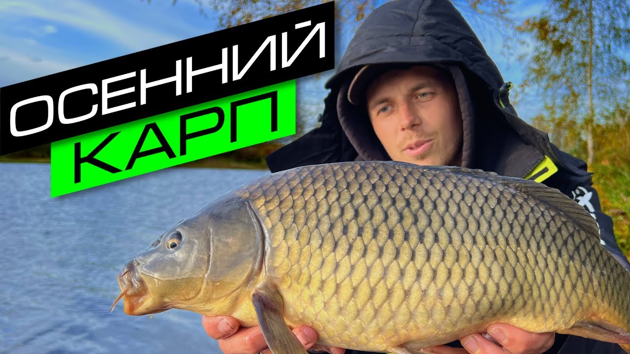 ЛОВЛЯ КАРПА ОСЕНЬЮ / РЫБАЛКА НА ФИДЕР / FROS FISHING