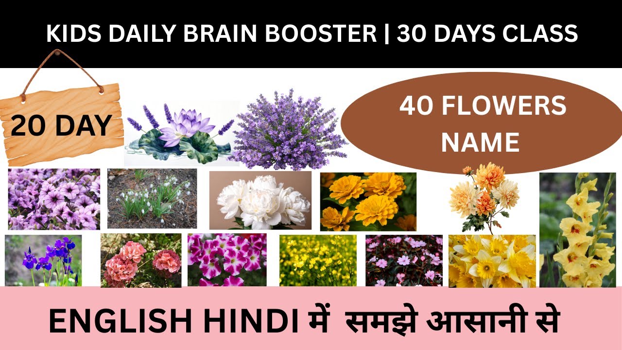 Kids Daily Brain Booster Day 20 | Flowers Name in English With HIndi  | Day 20 of 30 Days challenge