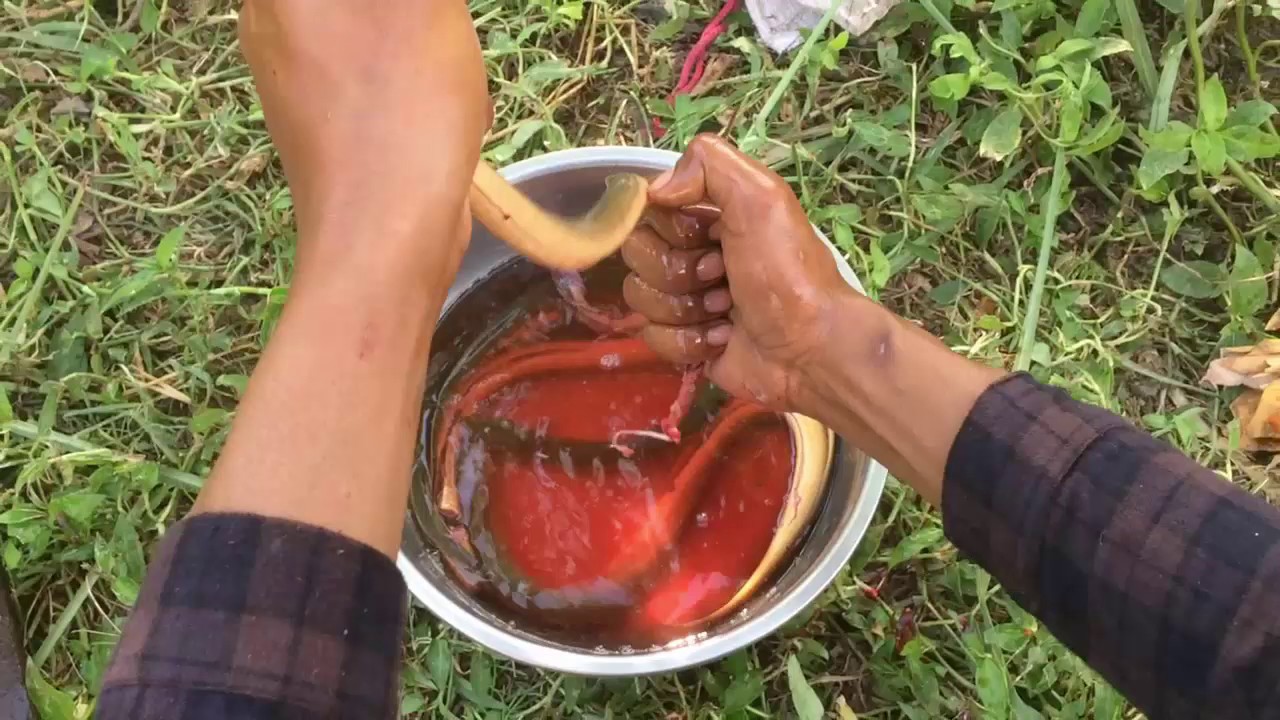 Khmer Traditional Eel Food-KH Daily Activities