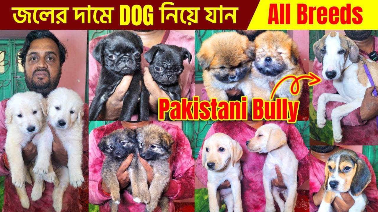 dog market in kolkata | pet market in kolkata | kolkata dog market | Dog Puppy Price Update