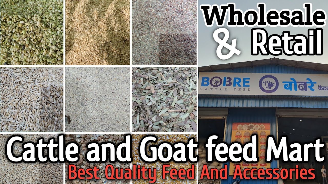 Bobre Cattle And Goat Feed Bhiwandi | Wholesale And Retail Feed And Accessories |@Rizwankranti