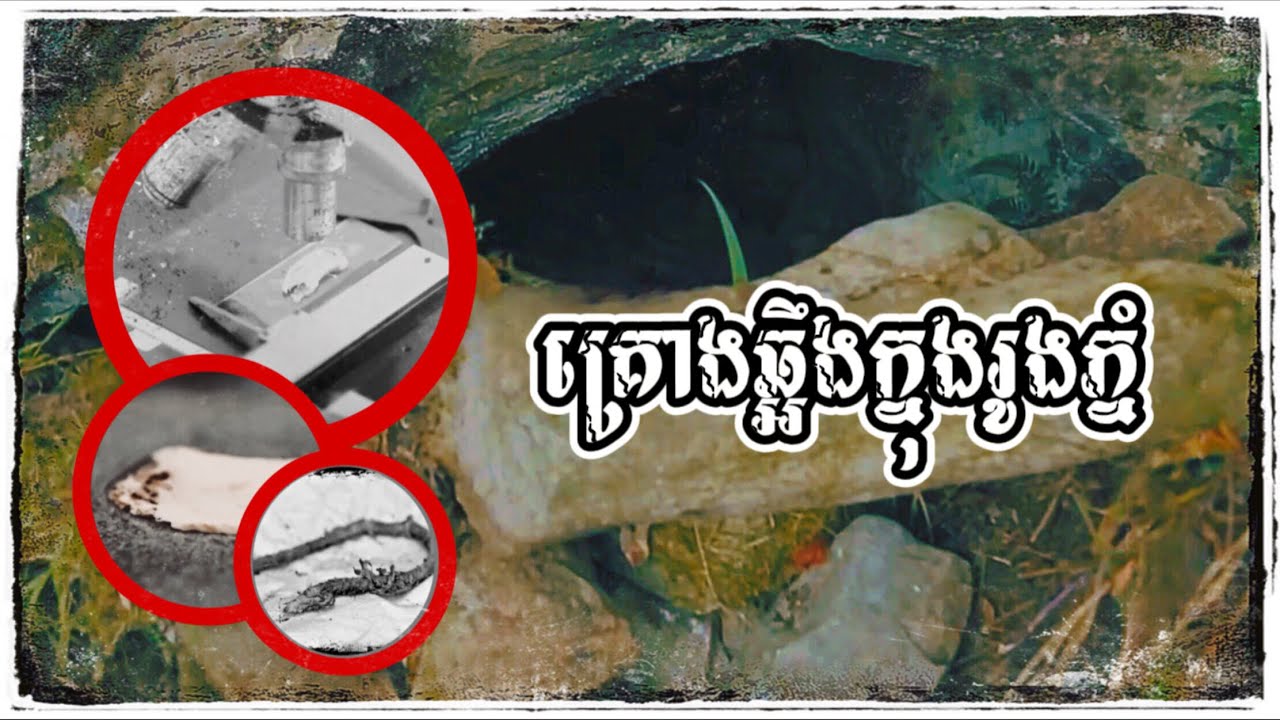 ជារឿងក្តីដែលប្រើប្រាស់នូវចំនេះដឹង និងភាពវ័យឆ្លាតមកបំបែកក្តី