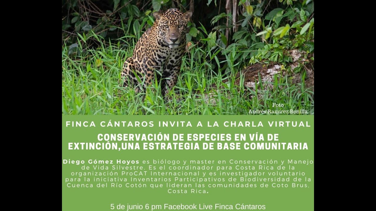 Conservaci&oacute;n de especies en v&iacute;as de extinci&oacute;n, una estrateg&iacute;a de base comunitaria.