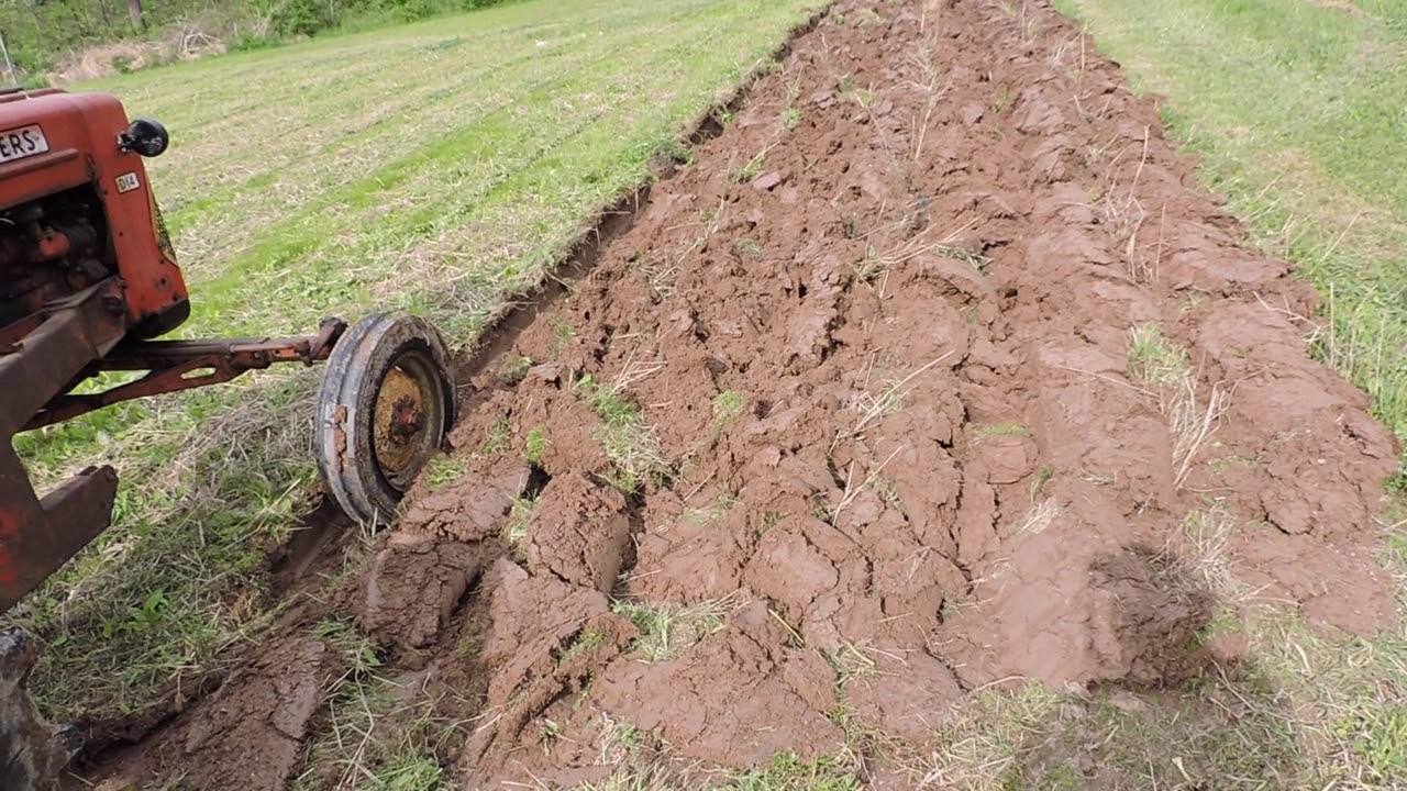 Вспашка сада плугом Allis Chalmers D14 и 2-корпусным плугом