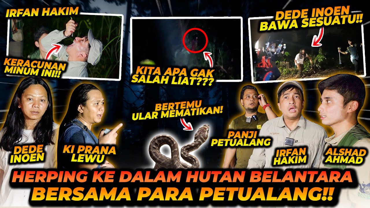 HERPING BERSAMA 5 PETUALANG ! KOLABORASI EPIC AWAL TAHUN ! IRFAN HAKIM KERACUNAN KARENA TUMBUHAN INI