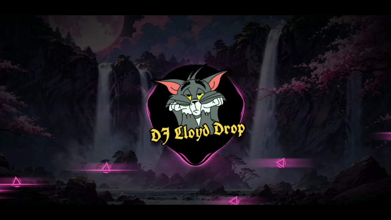 DJ WHERE HAVE YOU BEEN FULL SONG SLOW BASS DJ LLOYD DROP REMIX