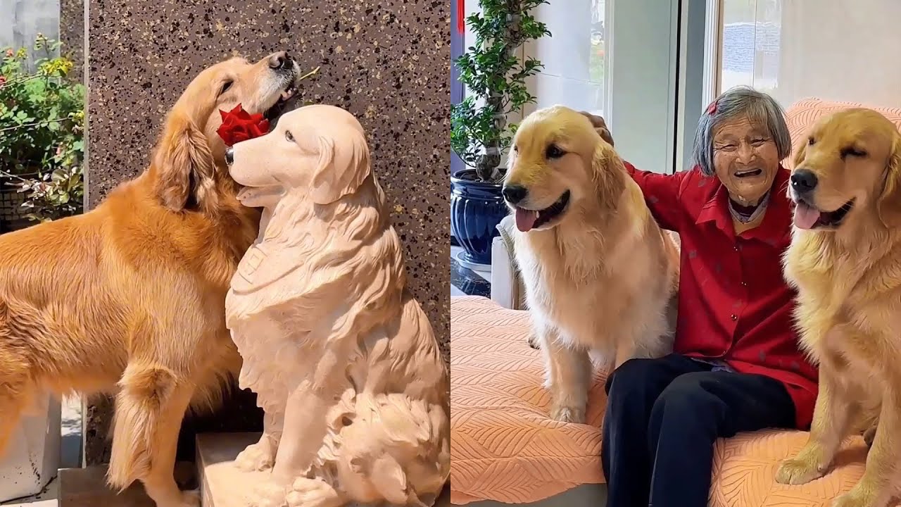 Маомао скучает по небесной матери ❤️#聪明旺豆豆