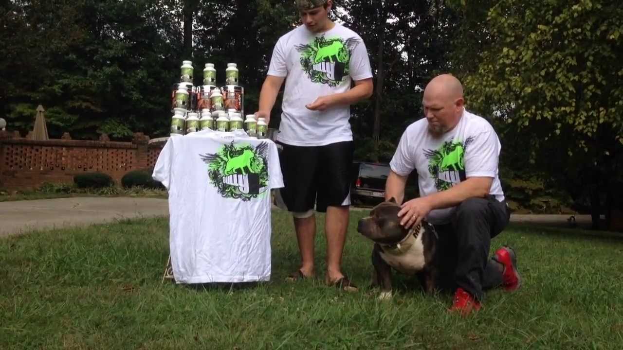 The best muscle building supplements for your dog