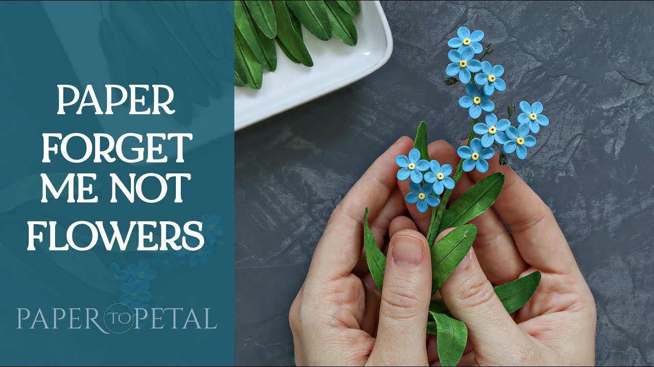 3D Paper Art - Making Forget Me Not (Myosotis) Flowers