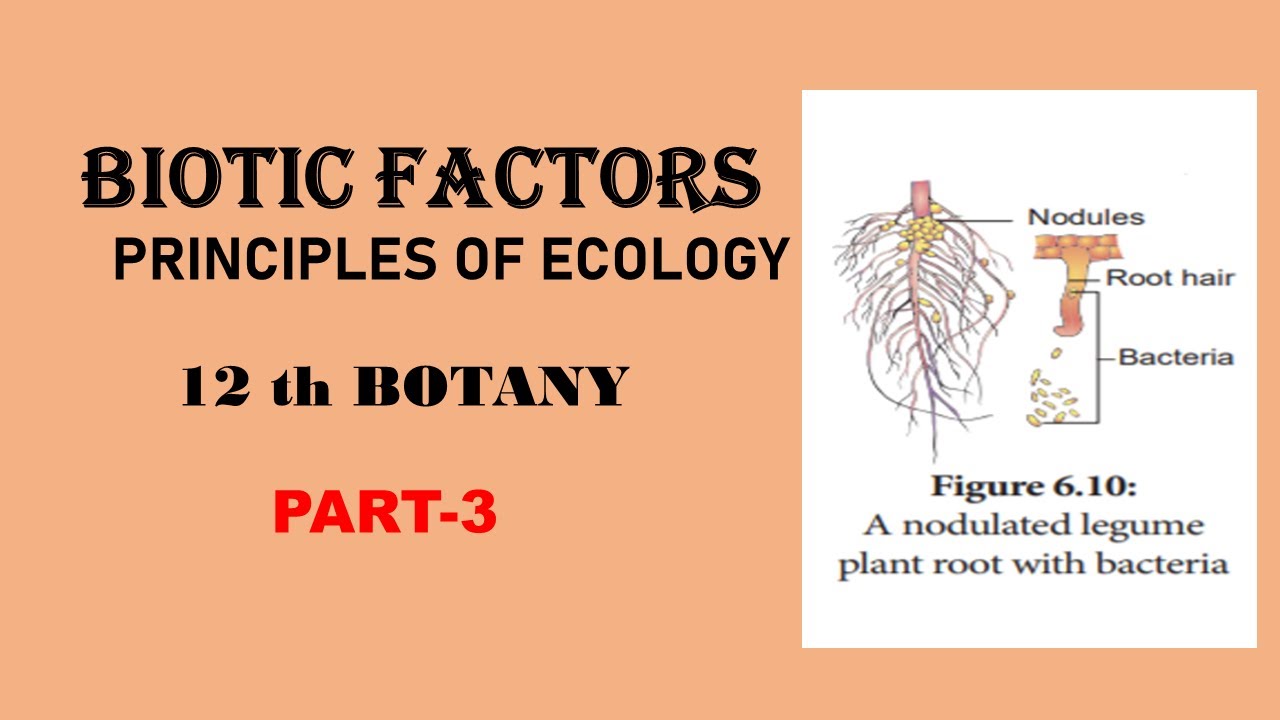 Biotic factors-Principles of Ecology-12 th Botany-TAMIL