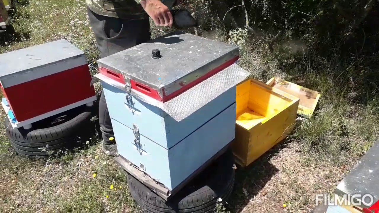 Κόβουμε παραφυάδες....18 Απρ. 2020