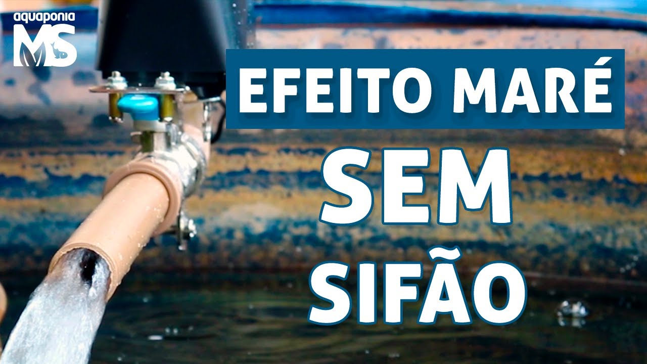 Efeito Maré SEM Sifão! Automação na aquaponia