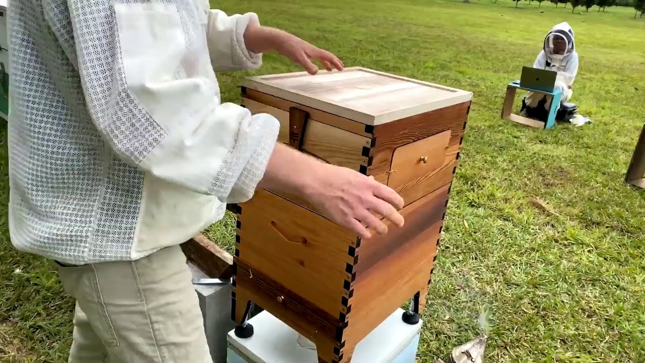 Swapping conventional langstroth hive to a Flow Hive