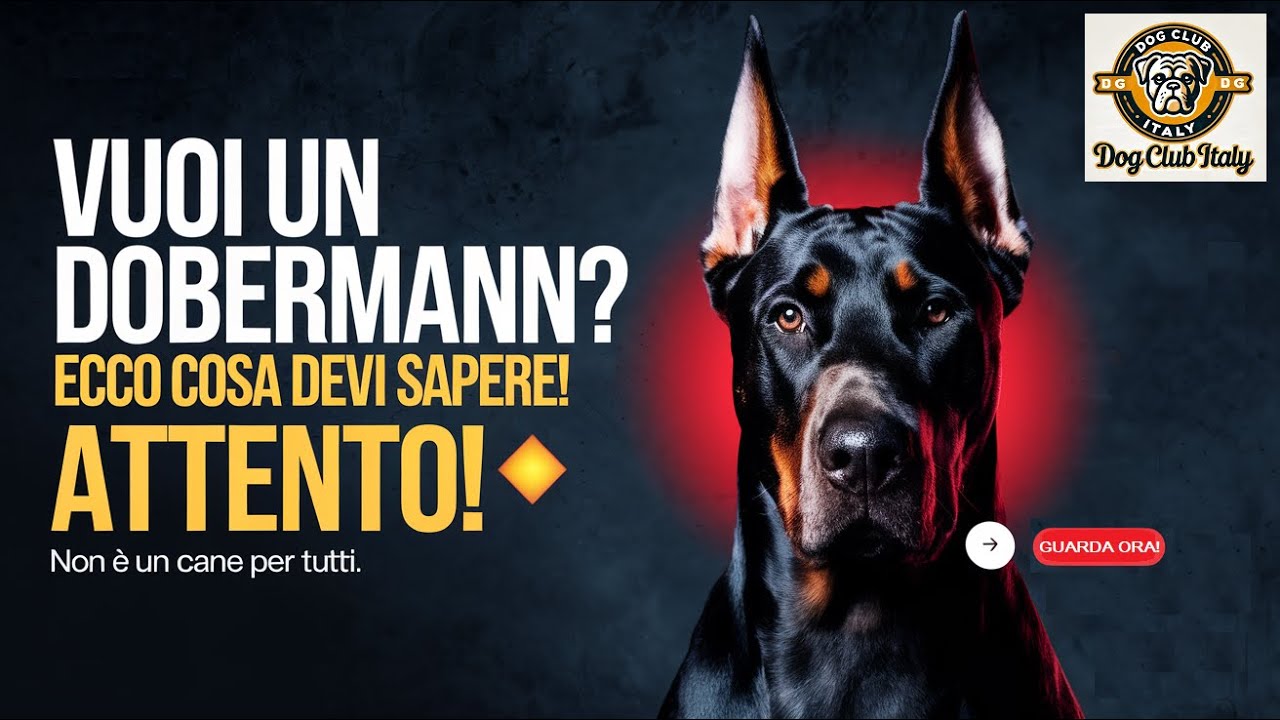 Dobermann: Cosa Devi Sapere Prima di Prenderne Uno! #dobermann  #canidaguardia #caniintelligenti