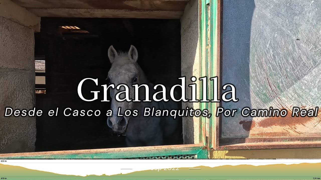 GRANADILLA - LOS BLANQUITOS, Camino Real, cruces, calvarios, ermitas, descansaderos...