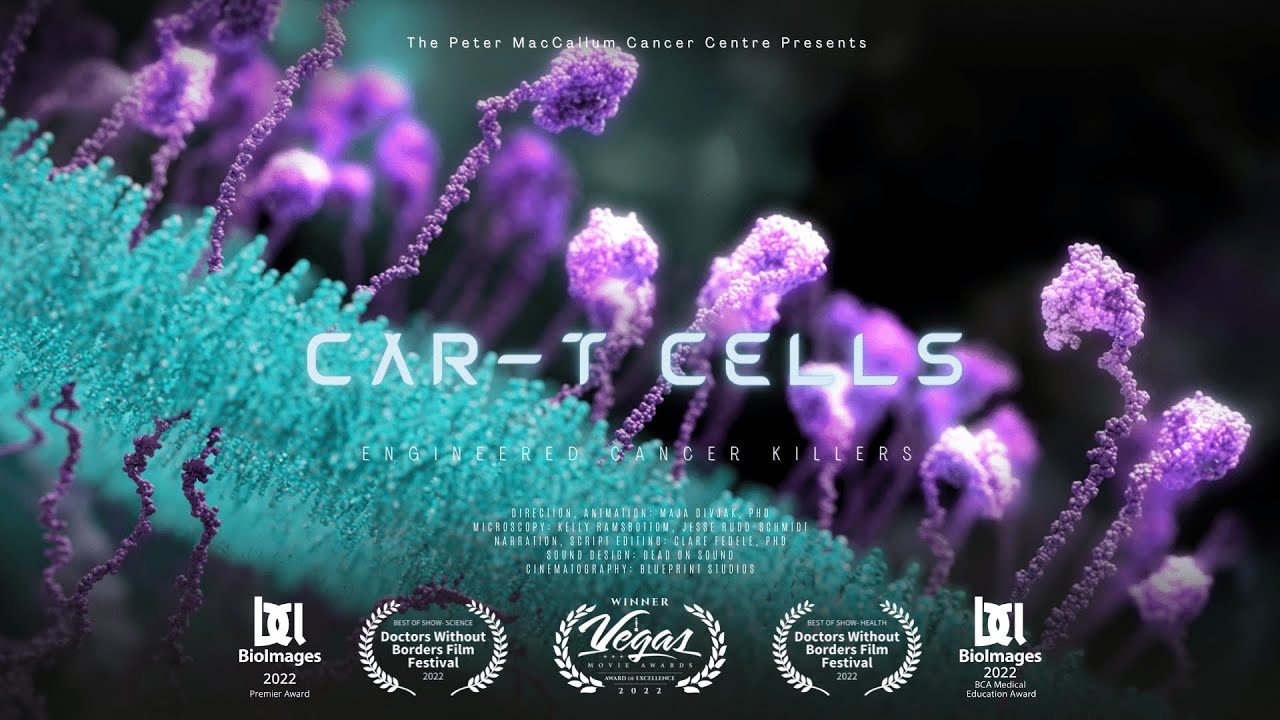 CAR-T Cells: Engineered Cancer Killers