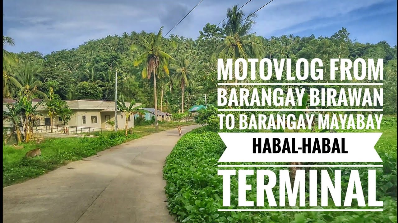 Motovlog From Barangay Birawan to Barangay Mayabay Habal-habal Terminal in Daram Samar