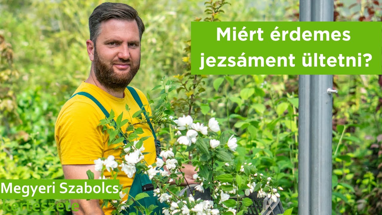 Miért érdemes jezsáment ültetni?