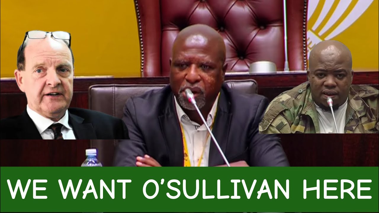 AD HOC DEMANDS WITNESS WHOS ON THE RUN. EXCUSES TO ATTENDING MEETING BY ANC MEMBERS