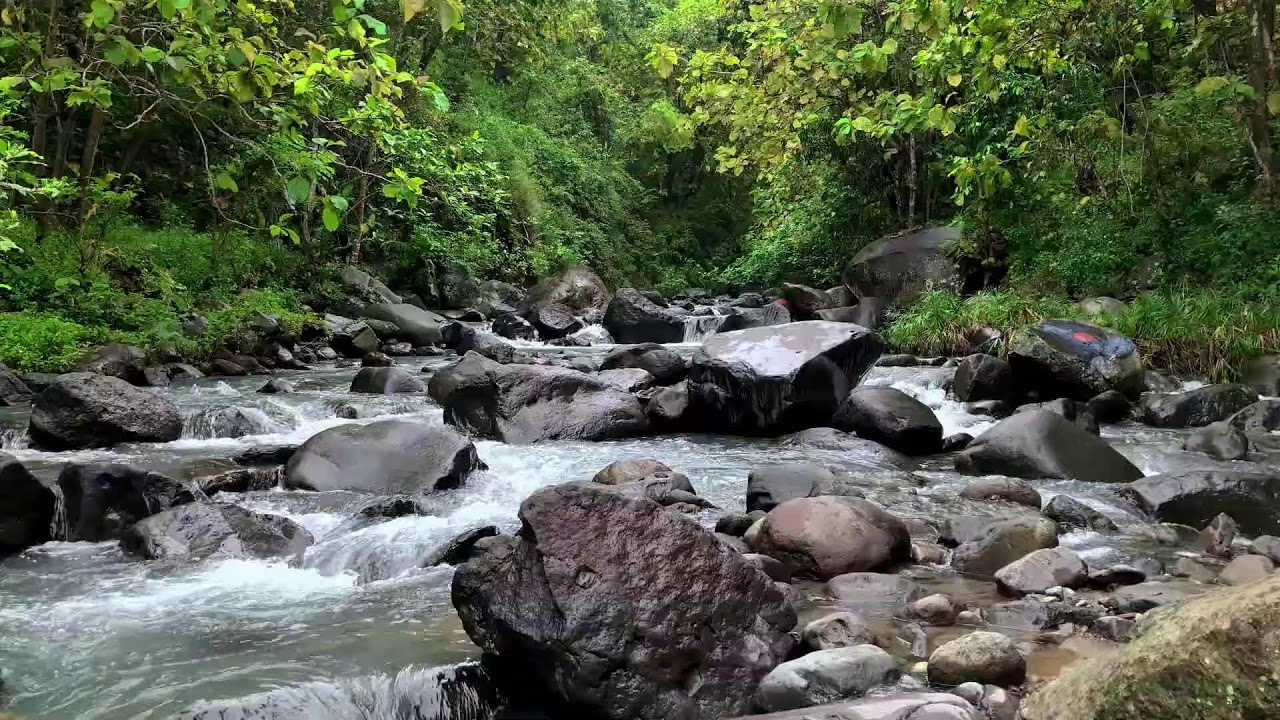 Settle your breathing with soft river sounds around a shaded valley stream for deep peaceful rest