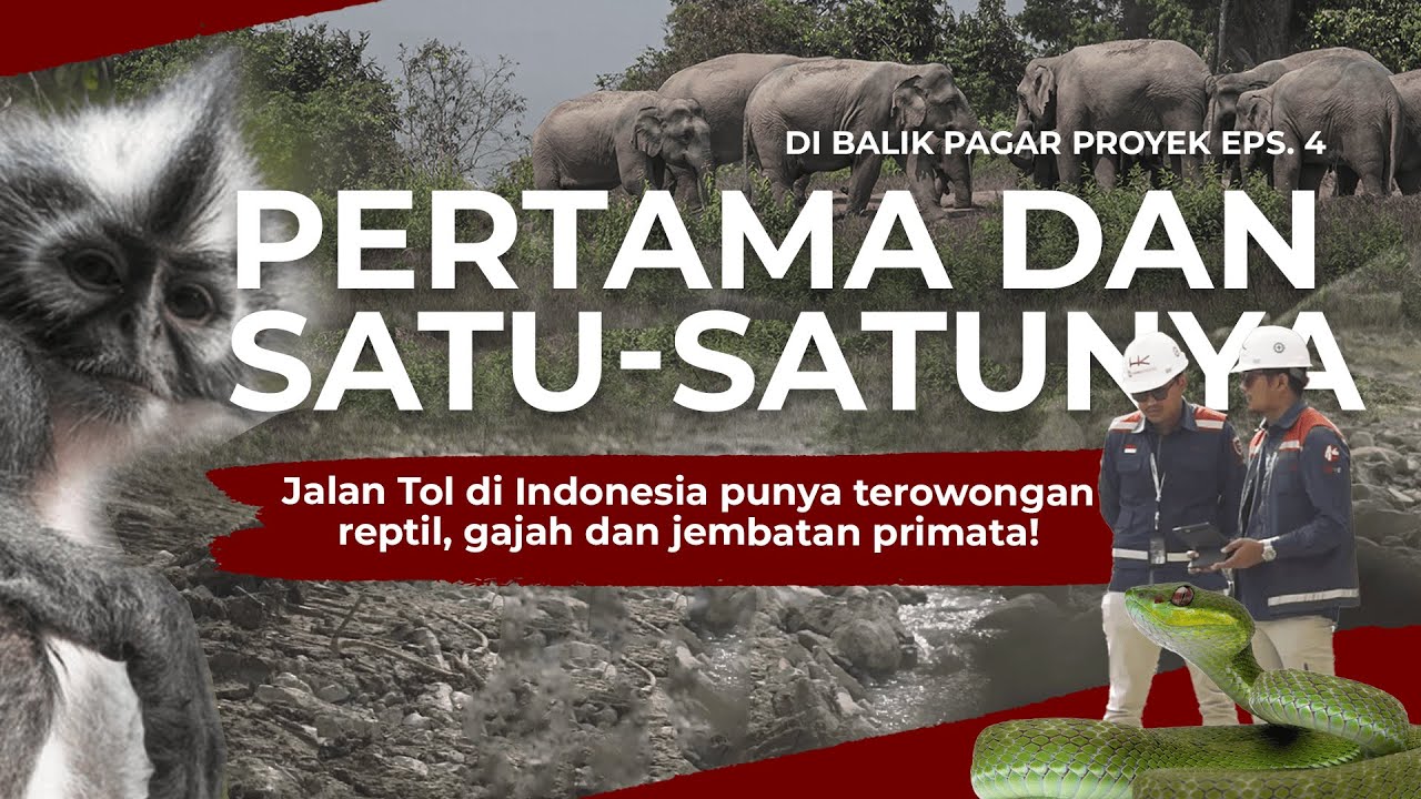 Eps. 4 Di Balik Pagar Proyek Jalan Tol Sigli - Banda Aceh