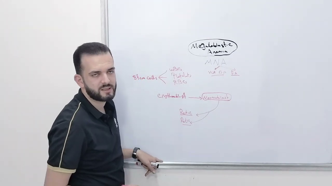 Megaloblastic Anemia & Pernicious Anemia